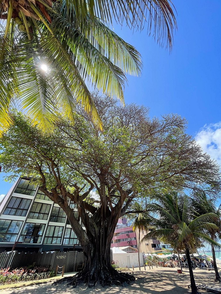 Jacuzzi Privativa à Beira-Mar p/ 4 pessoas