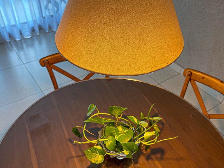 Luxor Paulo Miranda - Beira-mar - Piscina incrível