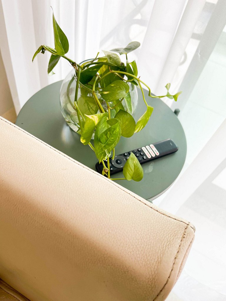 Luxor Paulo Miranda - Beira-mar - Piscina incrível