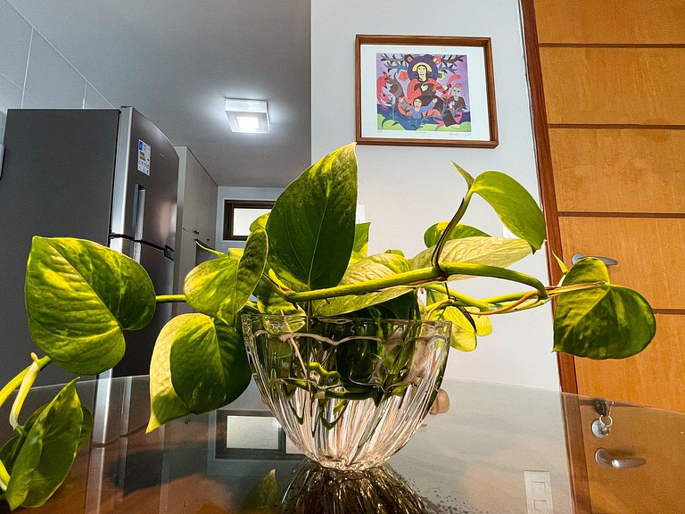 Luxor Paulo Miranda - Beira-mar - Piscina incrível