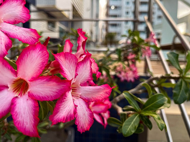 2 quartos com varanda em Manaíra