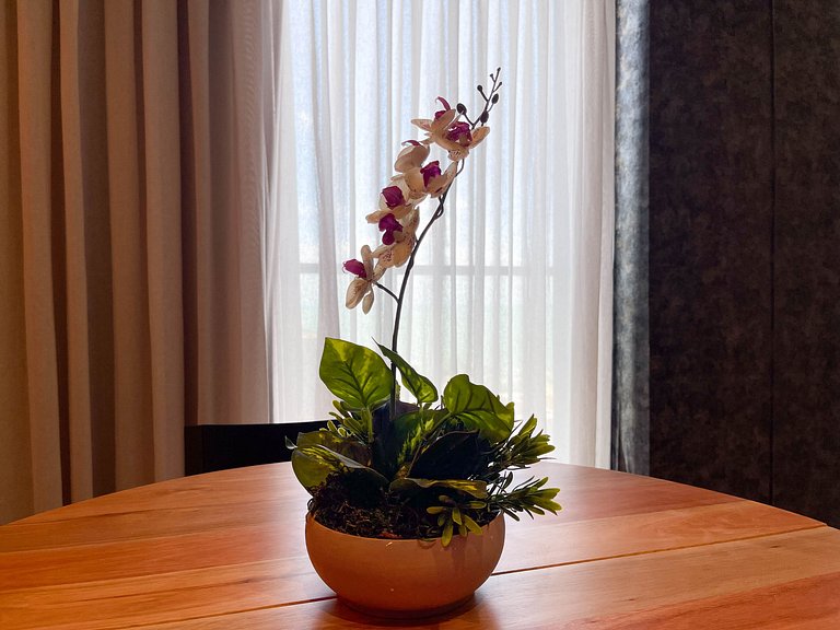 Piscina deslumbrante - vista mar - Intermares